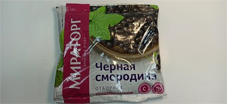 Смородина черная 300гр 1/10шт 1010017917 - фото 1098